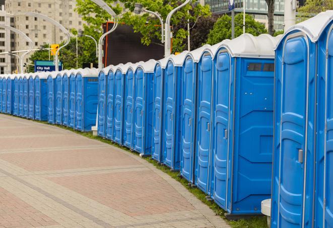Seasonal porta potty units set up at a Placerville, California venue